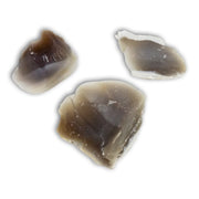 Calcedonia